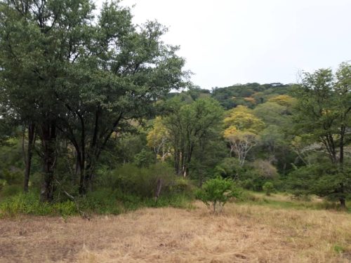 IMG-20250506-WA0053